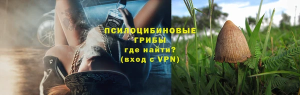 стаф Новозыбков
