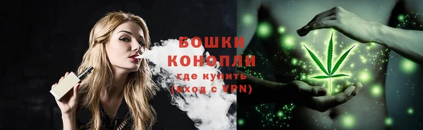 ГАЛЛЮЦИНОГЕННЫЕ ГРИБЫ Наволоки