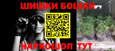 PSILOCYBIN Балахна