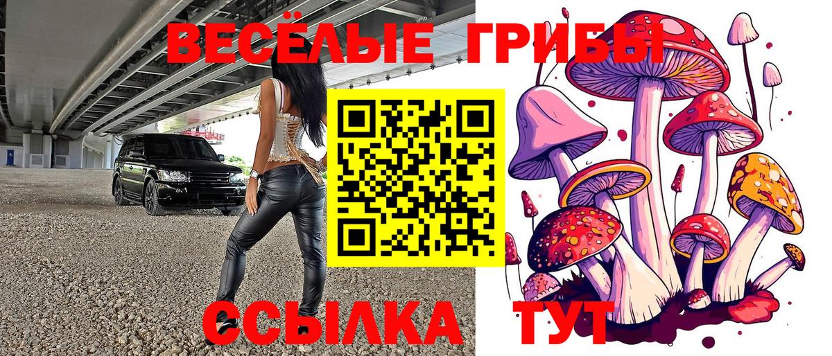 Псилоцибиновые грибы Psilocybine cubensis Мыски