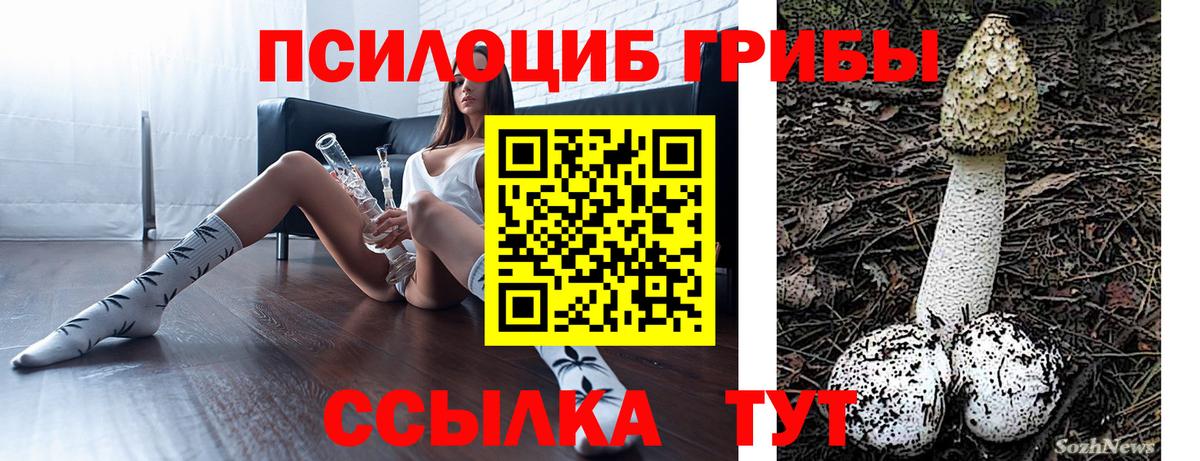 Галлюциногенные грибы GOLDEN TEACHER  Вход с VPN  Мыски 